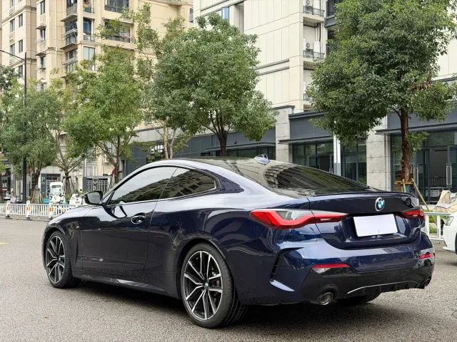 BMW 4 Series — Фото автомобиля 17