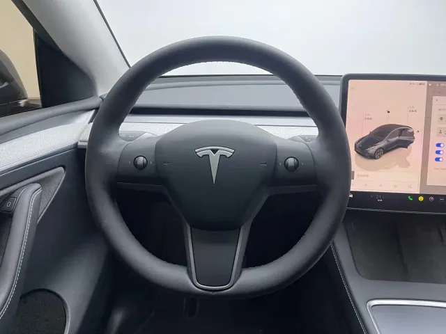 Tesla Model Y — Фото автомобиля 12