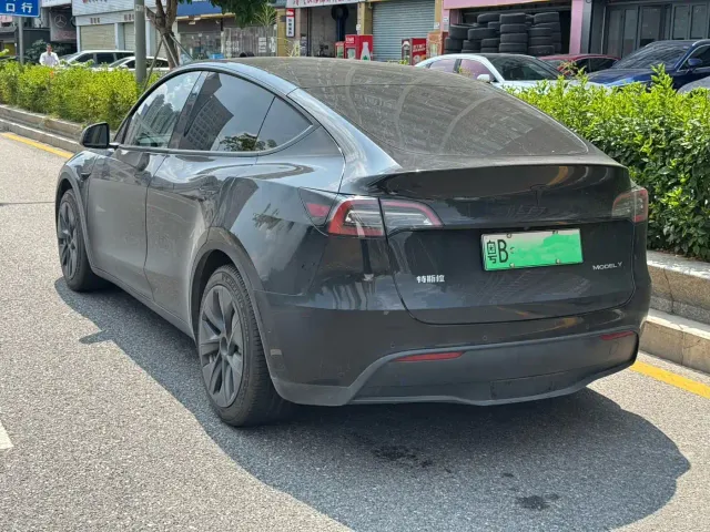 Tesla Model Y — Фото автомобиля 8