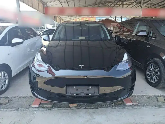 Tesla Model Y — Фото автомобиля 2