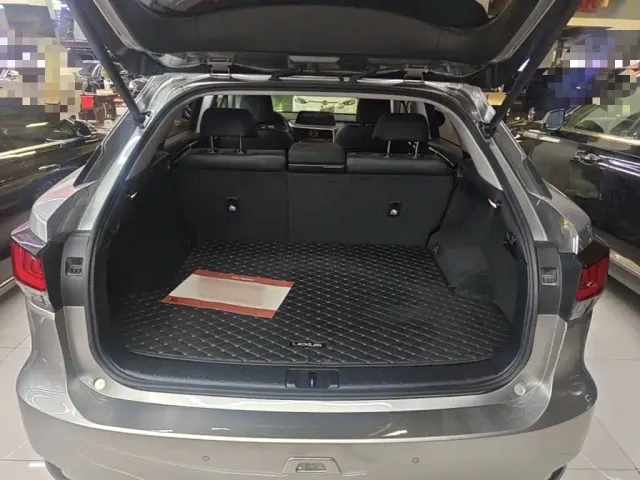 Lexus RX — Фото автомобиля 18