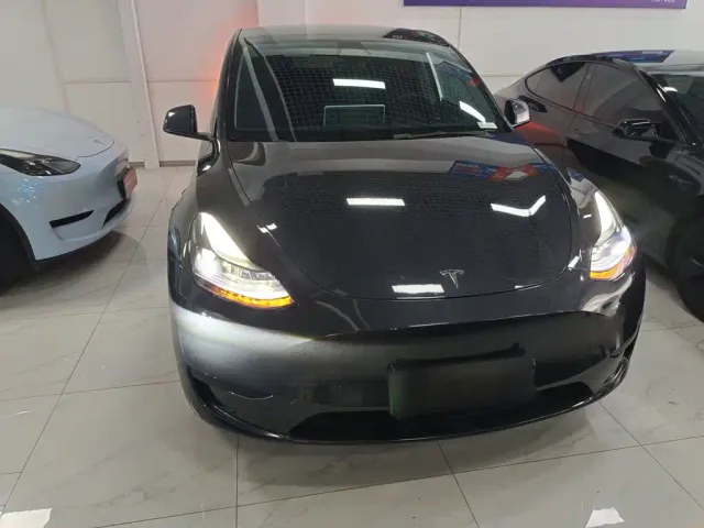 Tesla Model Y — Фото автомобиля 2