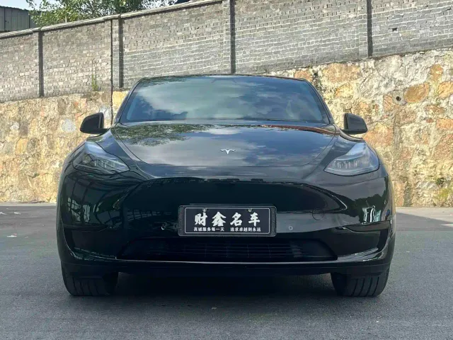 Tesla Model Y — Фото автомобиля 2
