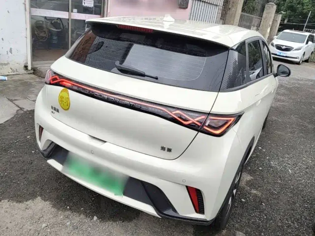 BYD Dolphin — Фото автомобиля 6