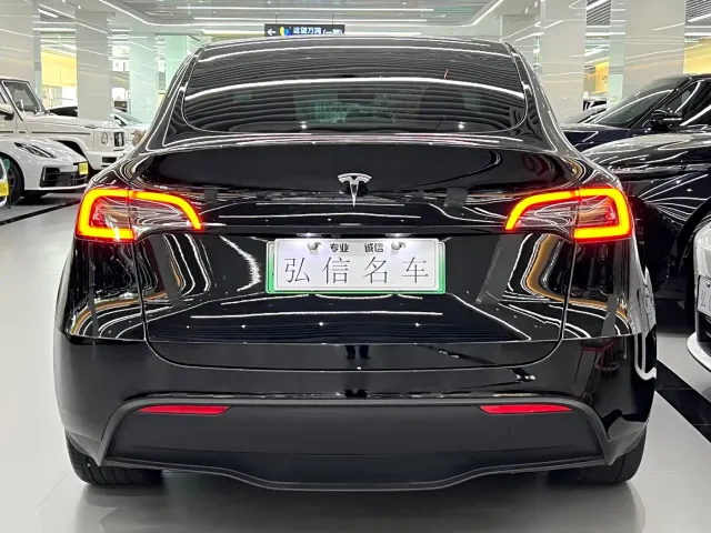 Tesla Model Y — Фото автомобиля 21