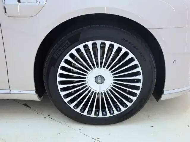 Zunjie Zunjie S800 2025 Range Extender Starlight Executive 4-Seater — Фото автомобиля 8