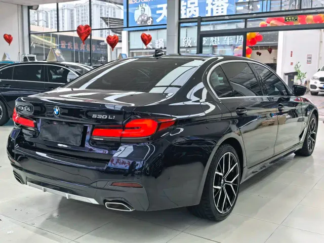 BMW 5 Series — Фото автомобиля 9