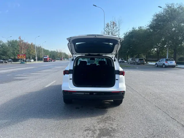 Ford Lingrui — Фото автомобиля 18