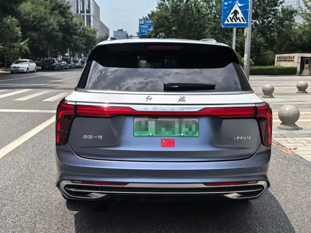 Hongqi E-HS9 — Фото автомобиля 3