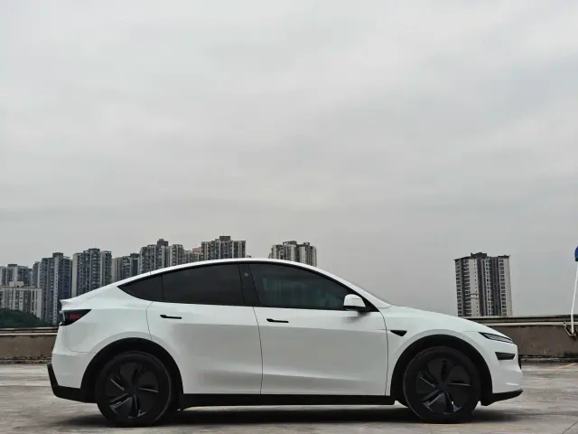 Tesla Model Y — Фото автомобиля 2