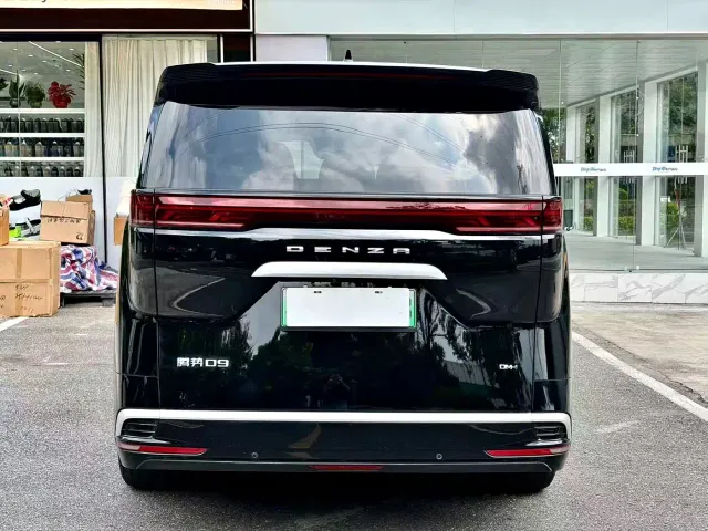 Denza D9 — Фото автомобиля 6