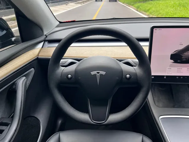 Tesla Model Y — Фото автомобиля 12