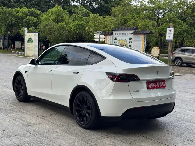 Tesla Model Y — Фото автомобиля 7