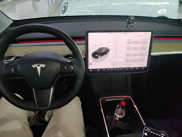 Tesla Model Y — Фото автомобиля 9