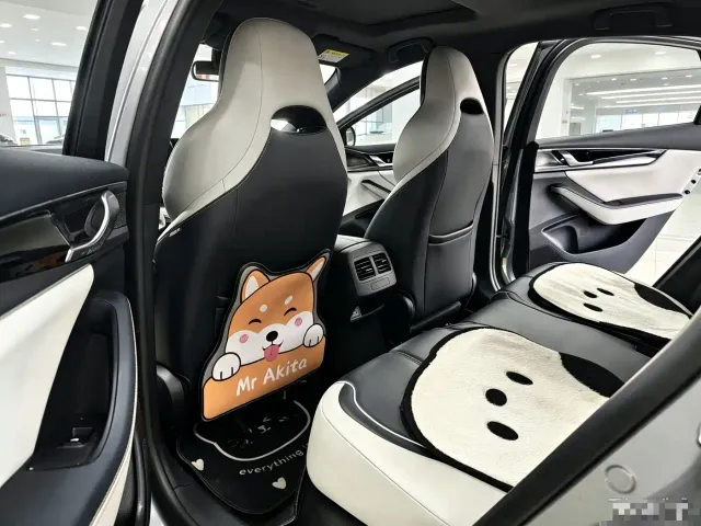 BYD Qin PLUS — Фото автомобиля 11