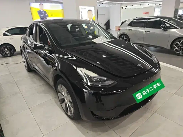 Tesla Model Y — Фото автомобиля 3