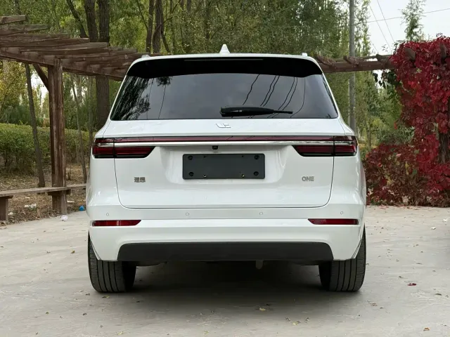 Li Auto ONE — Фото автомобиля 9
