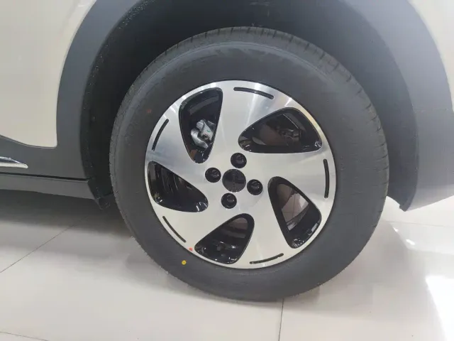 Geely Starry Wish — Фото автомобиля 10