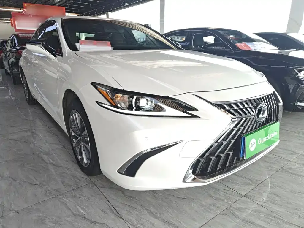 Lexus Lexus ES 2022 200 Excellence Edition — Фото автомобиля 19
