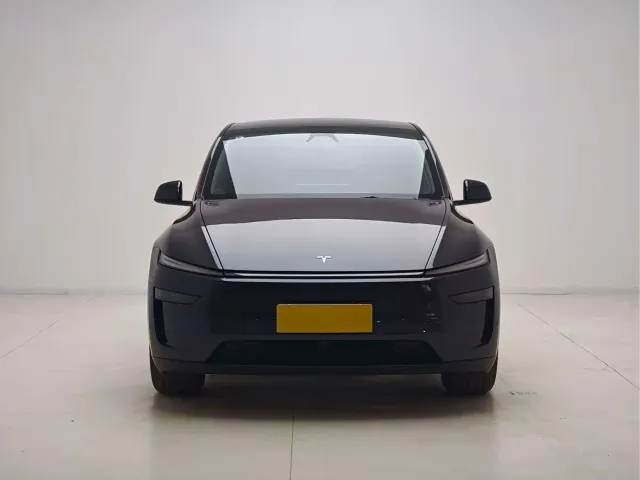 Tesla Model Y — Фото автомобиля 2