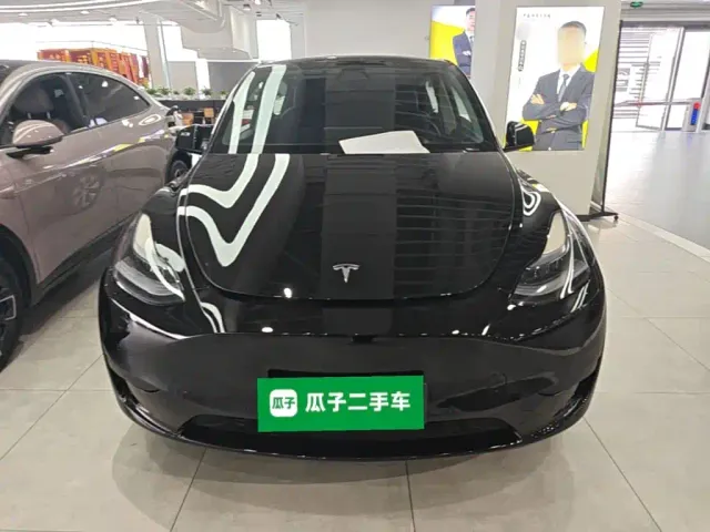Tesla Model Y — Фото автомобиля 2