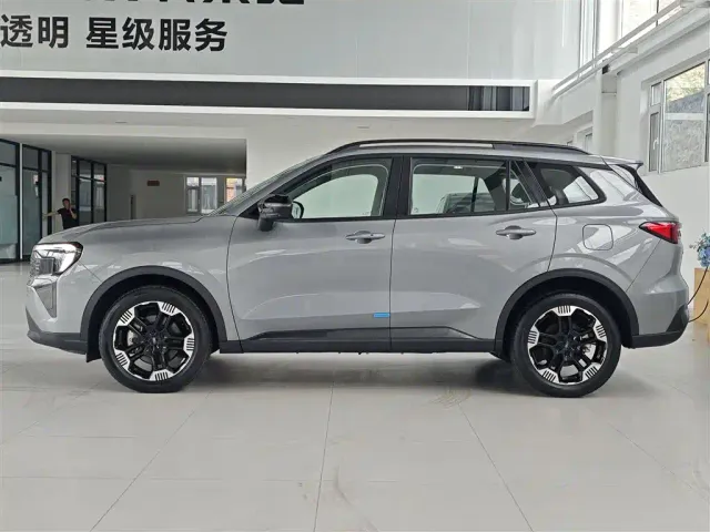 Ford Lingrui — Фото автомобиля 9