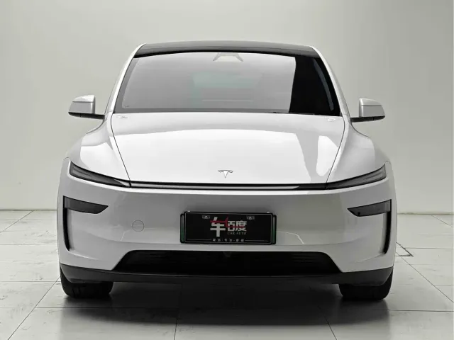 Tesla Model Y — Фото автомобиля 2
