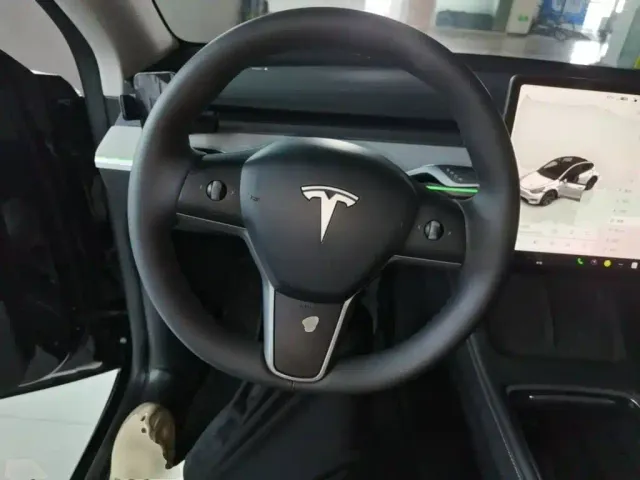Tesla Model Y — Фото автомобиля 10