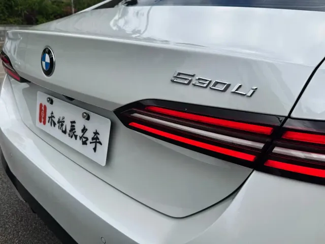 BMW 5 Series — Фото автомобиля 14