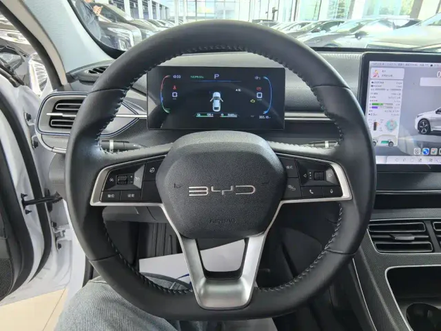 BYD Destroyer 05 — Фото автомобиля 11