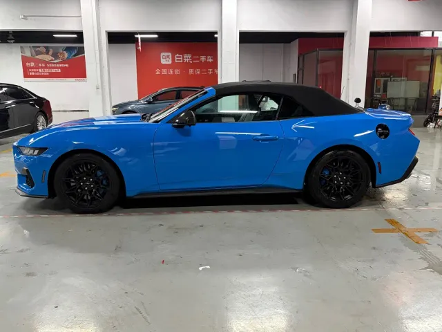 Ford Mustang — Фото автомобиля 15
