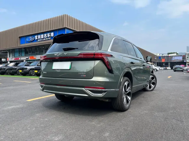 Wey Lanshan — Фото автомобиля 6