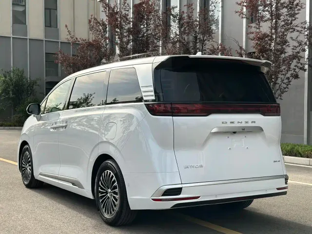 Denza D9 — Фото автомобиля 15