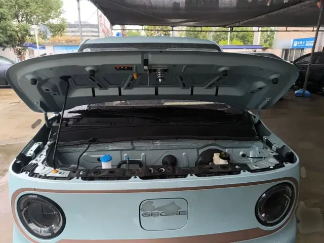 Geely Panda — Фото автомобиля 19