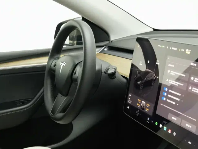 Tesla Model Y — Фото автомобиля 22