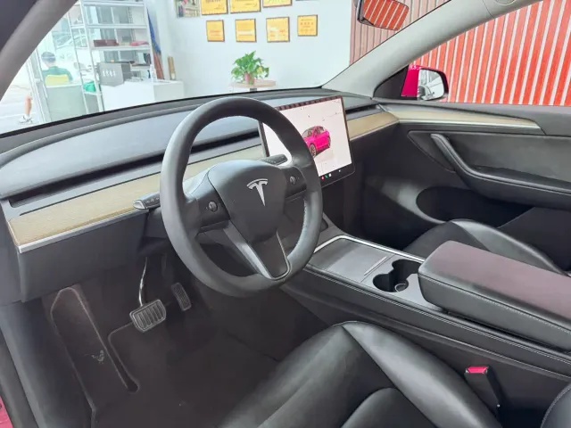 Tesla Model Y — Фото автомобиля 15