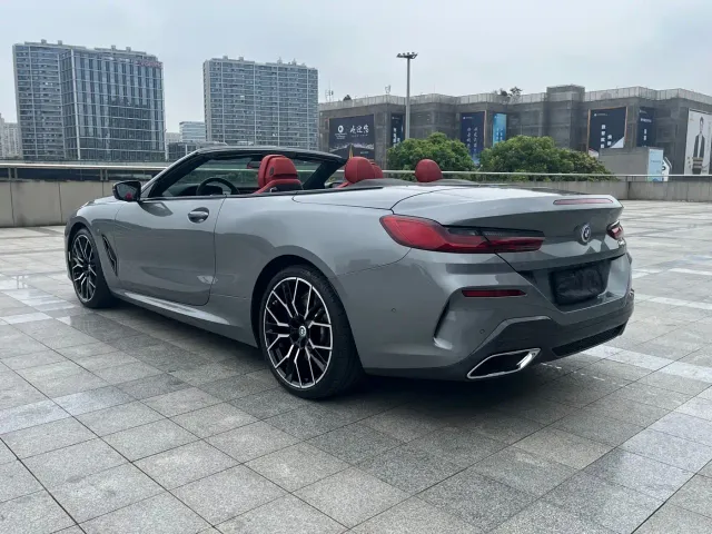 BMW 8 Series — Фото автомобиля 6