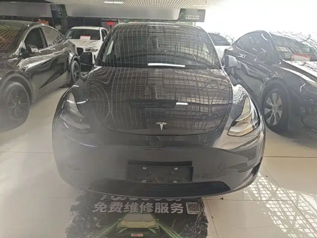 Tesla Model Y — Фото автомобиля 2