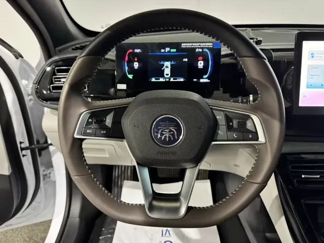 BYD Qin PLUS — Фото автомобиля 18