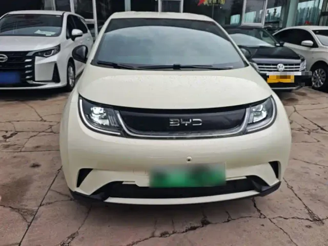 BYD Dolphin — Фото автомобиля 2