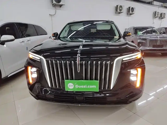 Hongqi E-HS9 — Фото автомобиля 2