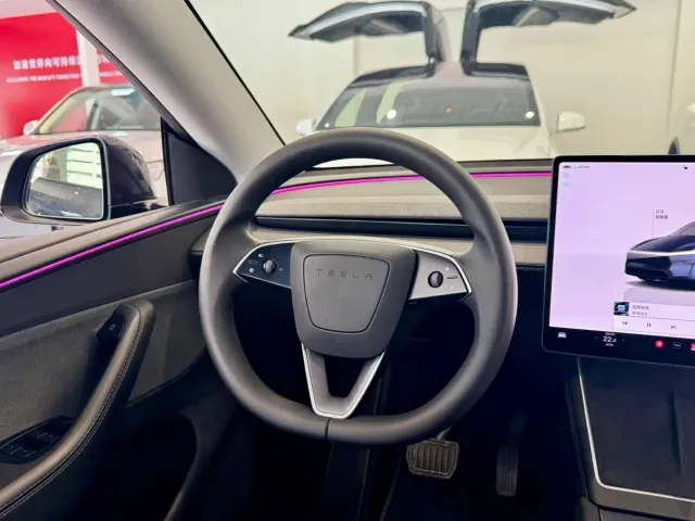 Tesla Model Y 2025 Rear-Wheel Drive — Фото автомобиля 10