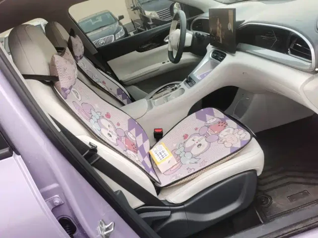 Geely Starry Wish — Фото автомобиля 24