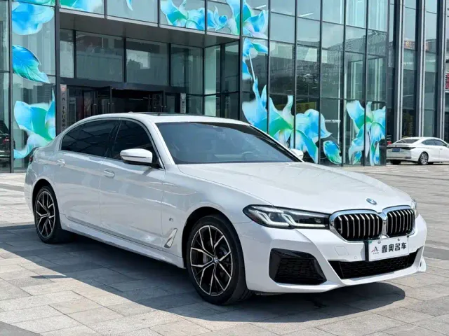 BMW 5 Series — Фото автомобиля 3