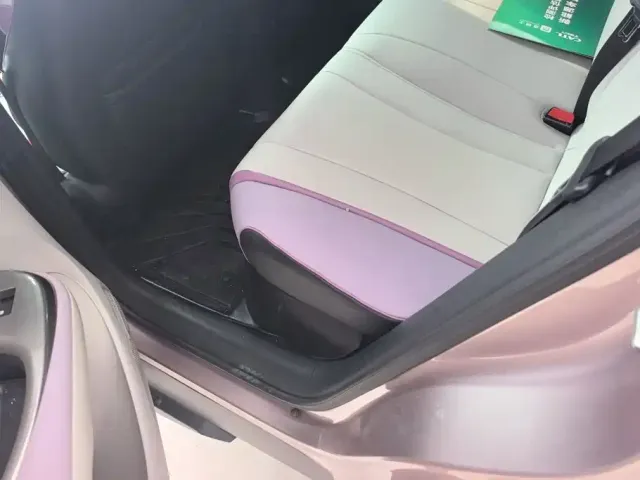 BYD Dolphin 2021 401km Knight Edition — Фото автомобиля 11