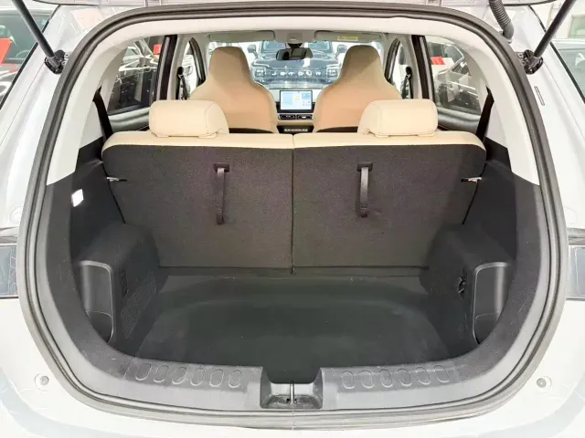 Wuling Binguo PLUS — Фото автомобиля 19