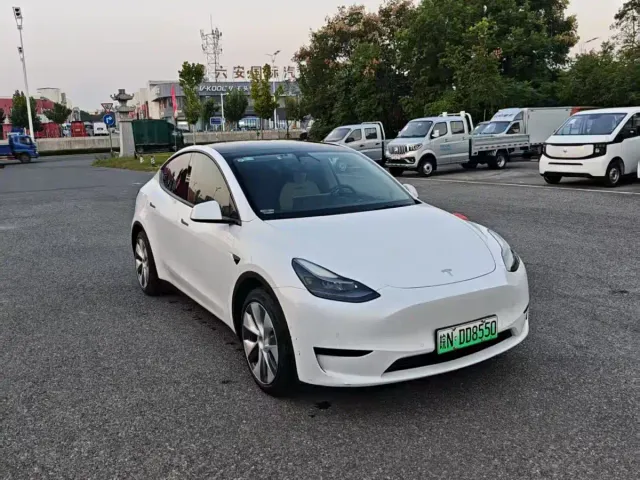 Tesla Model Y — Фото автомобиля 3