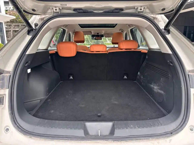 Haval Xiaolong MAX — Фото автомобиля 9