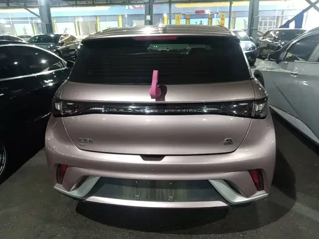 BYD Dolphin — Фото автомобиля 5
