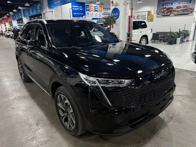 Haval Xiaolong MAX — Фото автомобиля 3